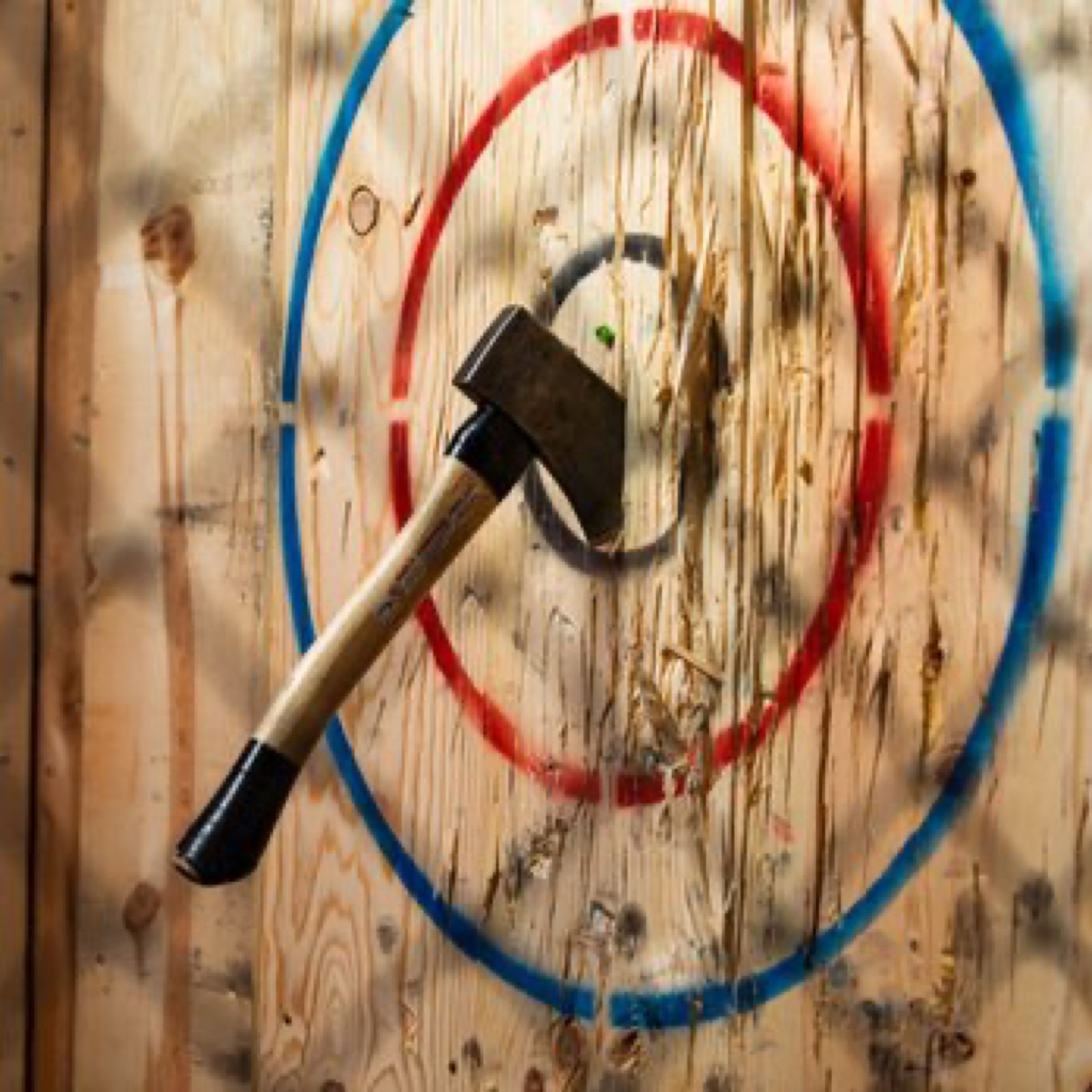 Archery, rifle shooting and axe throwing