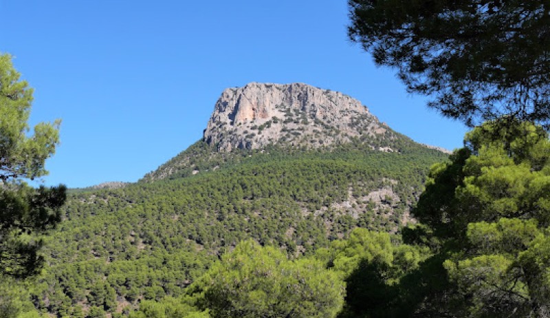 Let's get to know Alhama de Murcia