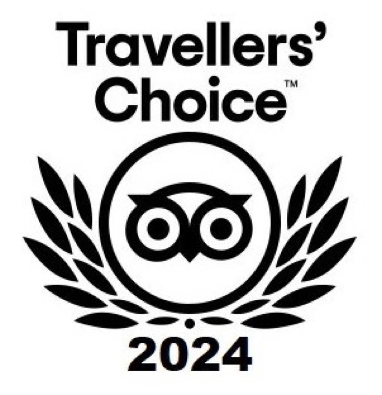 Four years of Travellers' Choice